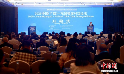 中国&mdash;东盟智库达成共识：双边应以合作韧性共应变局